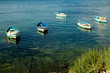 fishing boats at the shore