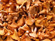 Photo: grocery store - chanterelle mushrooms grocery store - chanterelle mushrooms