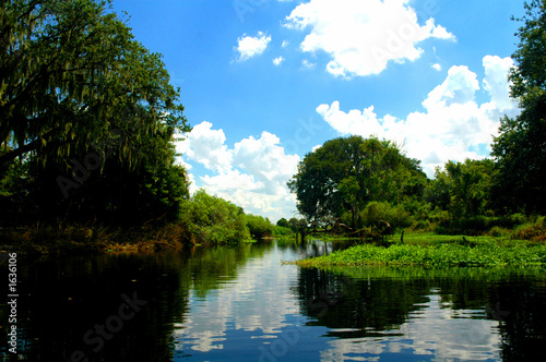 kissimmee river scenes 4