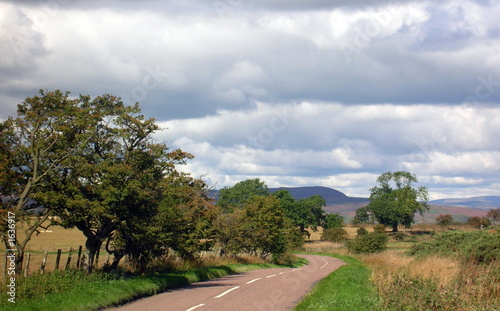 Photo: heading for the hills. heading for the hills.