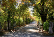 friedhof st. marx wien