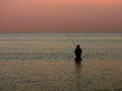 angler