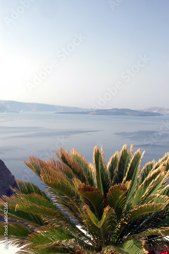 plant over the sea santorini