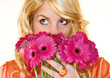 hide behind flowers 2