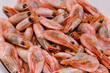 a lot of shrimps in a plate