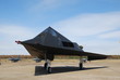 nighthawk
