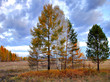 autumn landscape autumn landscape