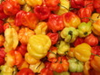 piments colorés