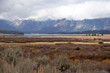 grand teton national park grand teton national park