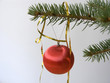 christmas tree ball christmas tree ball