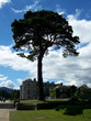 powerscourt gardens, ireland powerscourt gardens, ireland