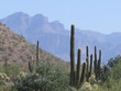 the superstion mountains