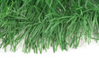 artifical pine branch artifical pine branch