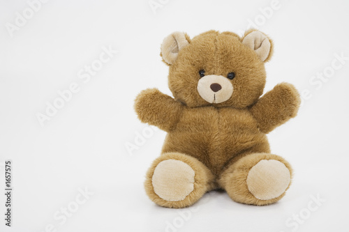Photo: teddy bear teddy bear