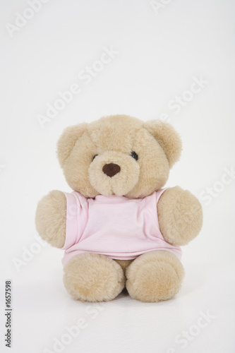 Photo: teddy bear teddy bear