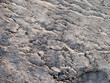 cracked sand