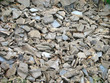 rock