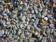 gray gravel gray gravel