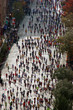 people running down the street in a marathon