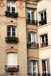 paris windows