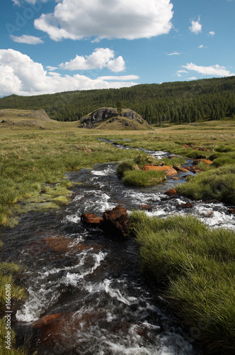 alpine stream alpine stream