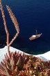 incredible santorini incredible santorini