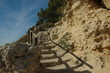 chemin du lézard