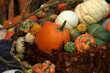 pumpkin display