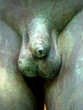 pene pene