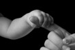 hands