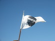 drapeau corse