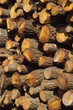 tas de bois - détail