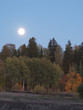 autumn colors at sunset with full moon autumn colors at sunset with full moon