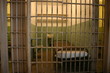 prison cell with sunlight