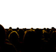 audience
