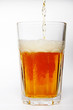 bier (1) bier (1)