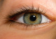 eye eye