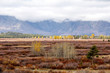 grand teton national park grand teton national park