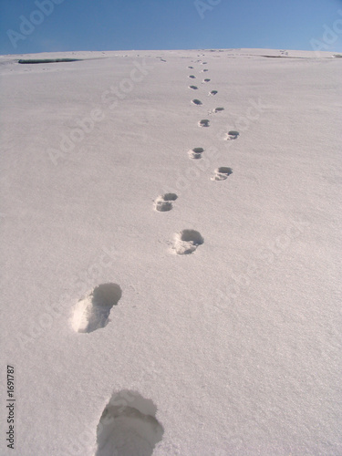 us.fotolia.comfootsteps on the snow us.fotolia.comfootsteps on the snow