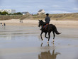 cheval