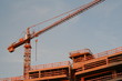 grue grue
