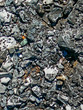 gravel gravel