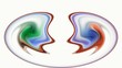 abstract,shape. symbol of embryos