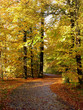 herbstweg