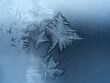frosty window