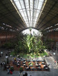 atocha station atocha station