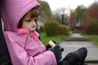 a walk on an autumn day