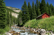 canvas print picture along the creek