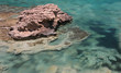 blurry water blurry water