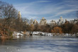 central park in winter